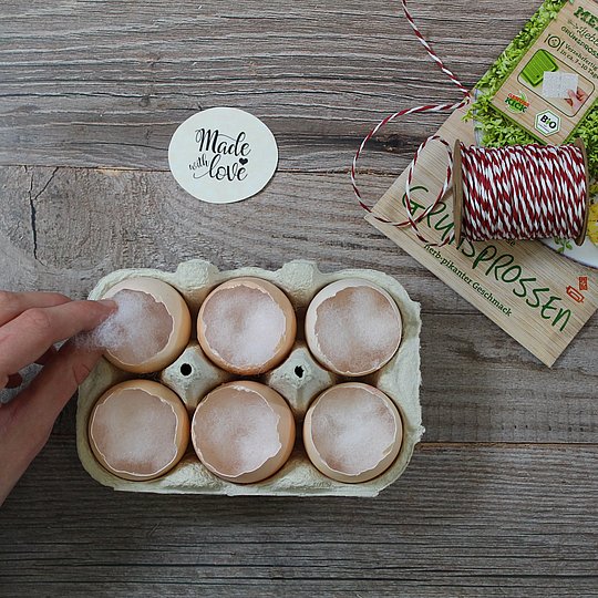 DIY Bastelidee Ostern Kresse Eier